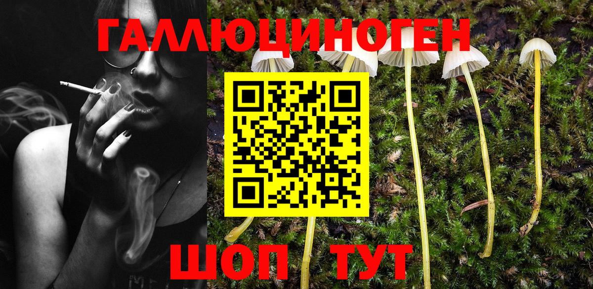Псилоцибиновые грибы мухоморы Ртищево