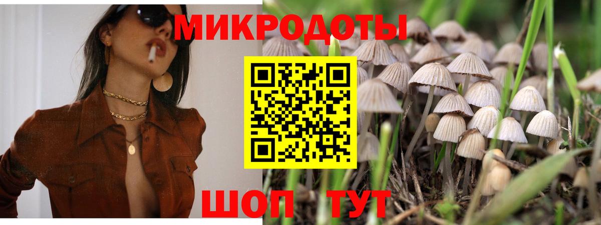 Ртищево  Галлюциногенные грибы MAGIC MUSHROOMS  Псилоцибиновые грибы мухоморы  Вход с VPN 